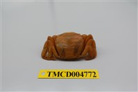 藏品(字紋弓蟹)的圖片